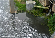 污水處理廠進水口水質、出水口水質12項必檢項目指標