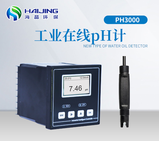 在線pH計PH3000型